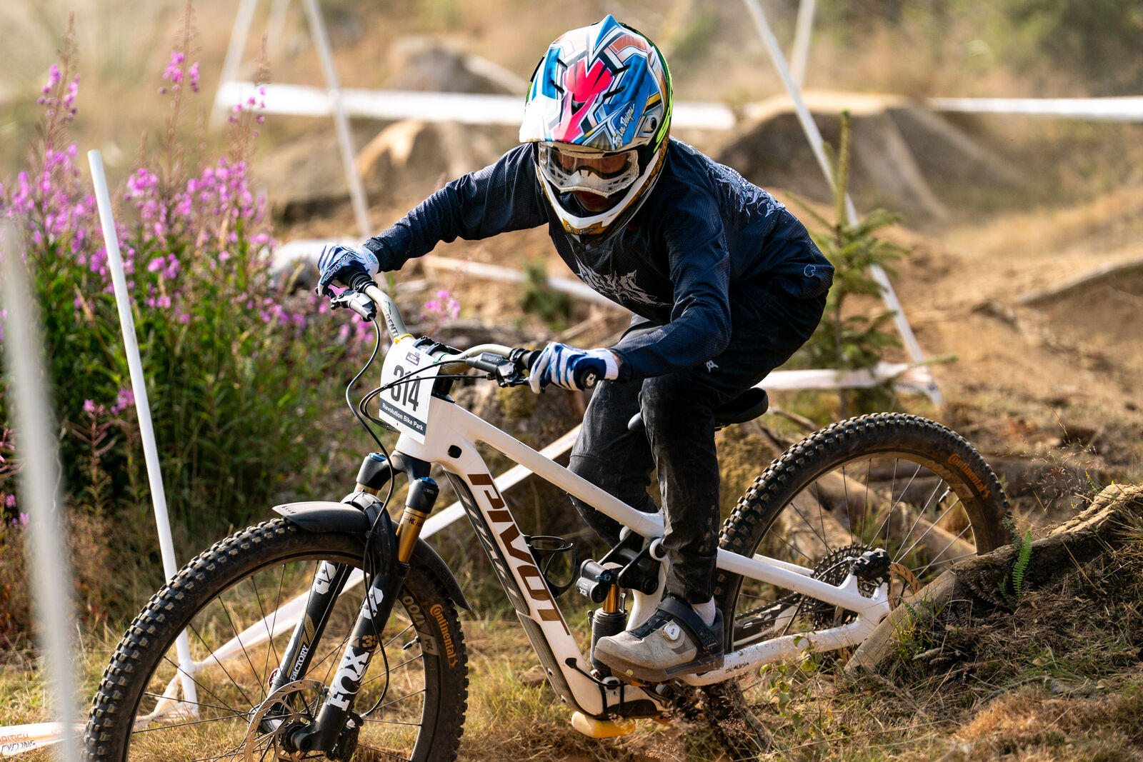 Stanlie racing through heather